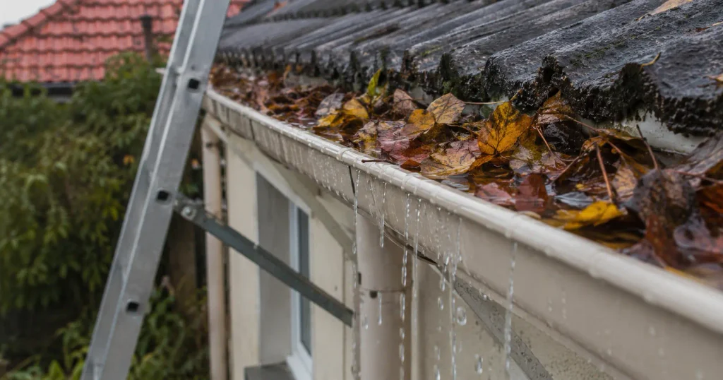 Dachrinnenreiniger kaufen: verstopfte Dachrinne mit nassem Herbstlaub