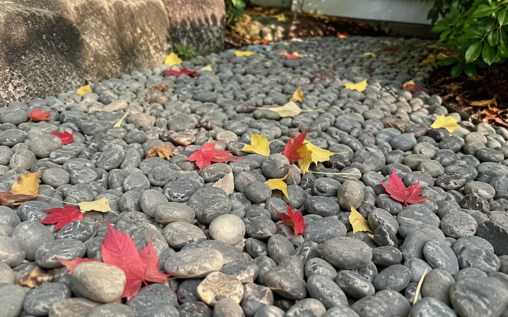 Herbstlaub zwischen Kieselsteinen auf einer Kiesfläche im Garten
